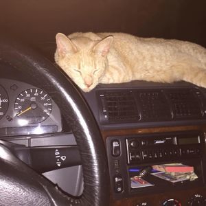 Meet your Posher, Sunam